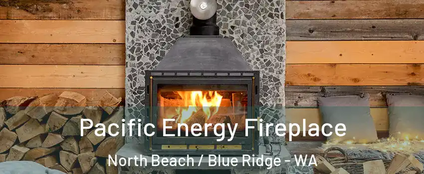 Pacific Energy Fireplace North Beach / Blue Ridge - WA