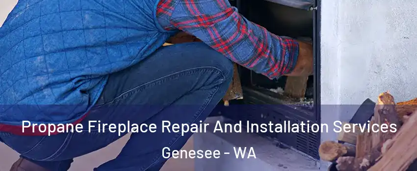 Propane Fireplace Repair And Installation Services Genesee - WA