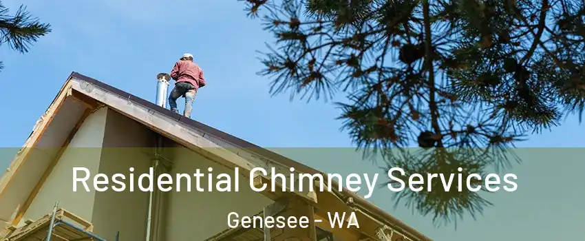 Residential Chimney Services Genesee - WA