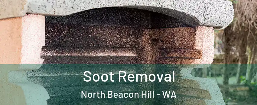 Soot Removal North Beacon Hill - WA