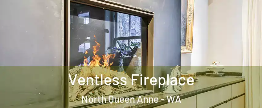 Ventless Fireplace North Queen Anne - WA