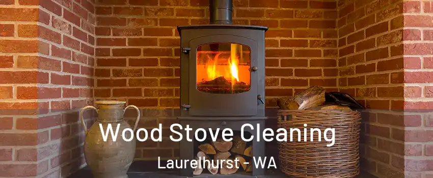 Wood Stove Cleaning Laurelhurst - WA